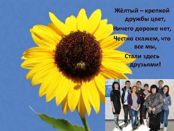 Жёлтый – крепкой дружбы цвет, Ничего дороже нет, Честно скажем, что все мы, Стали