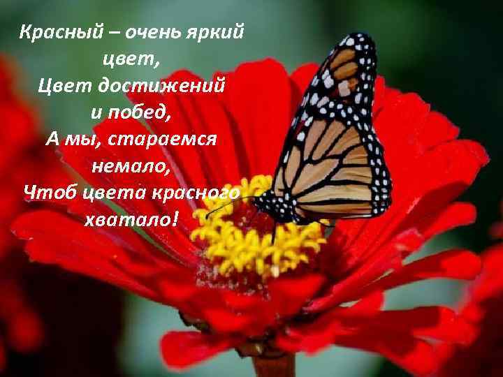 Красный – очень яркий цвет, Цвет достижений и побед, А мы, стараемся немало, Чтоб