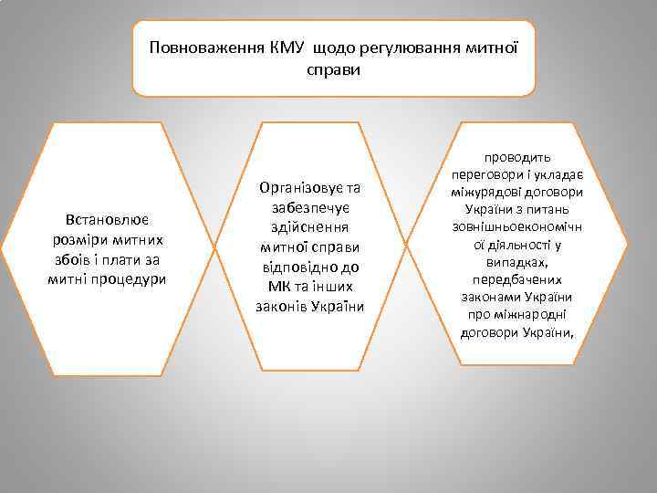 Повноваження КМУ щодо регулювання митної справи Встановлює розміри митних збоів і плати за митні