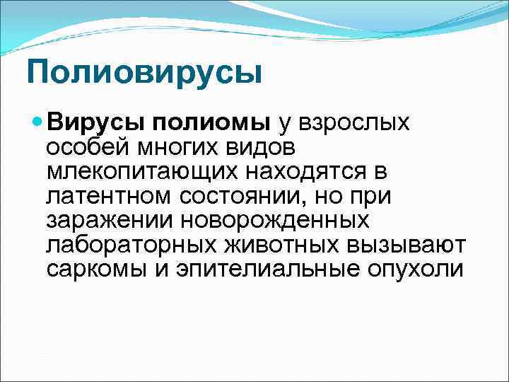 Полиовирусы Вирусы полиомы у взрослых особей многих видов млекопитающих находятся в латентном состоянии, но