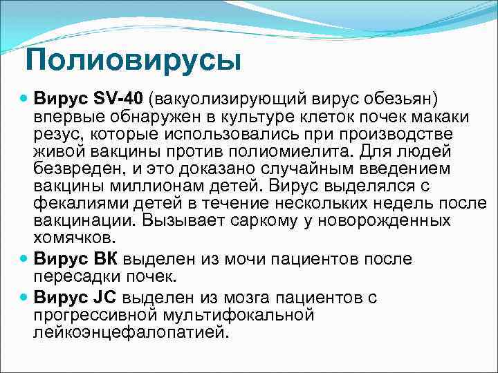 Полиовирусы Вирус SV-40 (вакуолизирующий вирус обезьян) впервые обнаружен в культуре клеток почек макаки резус,
