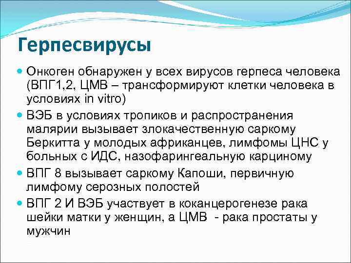 Герпесвирусы Онкоген обнаружен у всех вирусов герпеса человека (ВПГ 1, 2, ЦМВ – трансформируют
