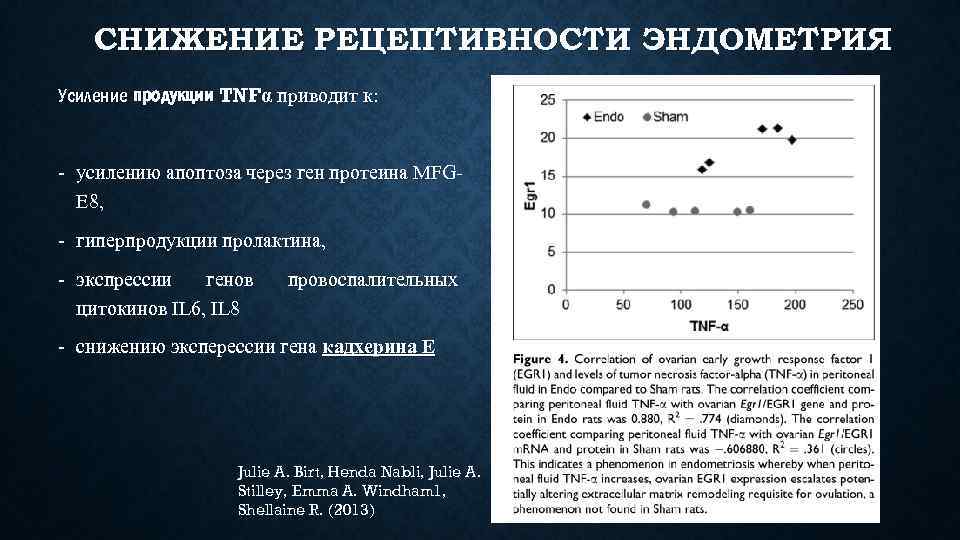 СНИЖЕНИЕ РЕЦЕПТИВНОСТИ ЭНДОМЕТРИЯ Усиление продукции TNFα приводит к: - усилению апоптоза через ген протеина