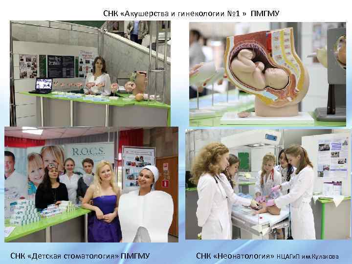 СНК «Акушерства и гинекологии № 1 » ПМГМУ СНК «Детская стоматология» ПМГМУ СНК «Неонатология»