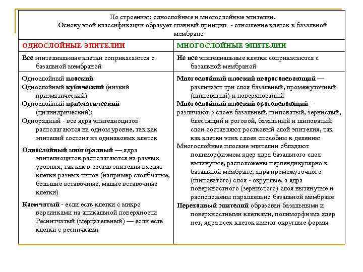 По строению: однослойные и многослойные эпителии. Основу этой классификации образует главный принцип - отношение