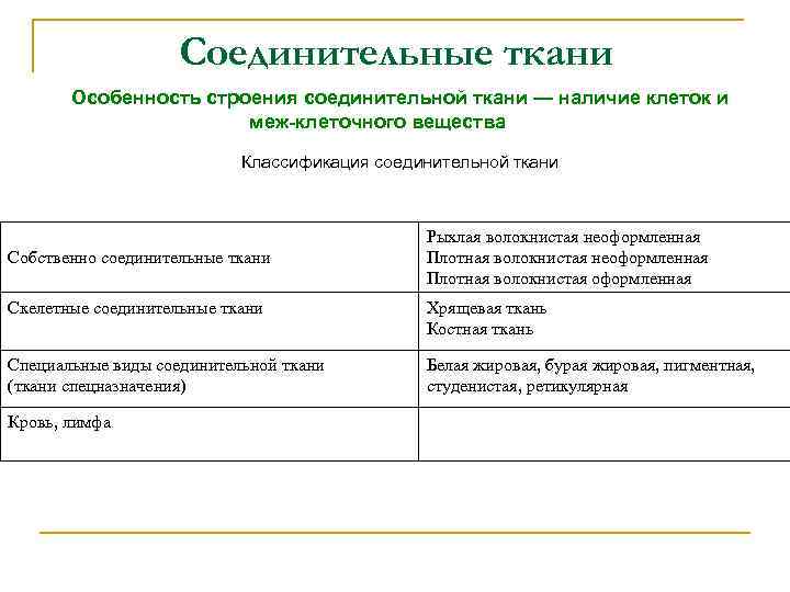 Соединительные ткани Особенность строения соединительной ткани — наличие клеток и меж клеточного вещества. Классификация