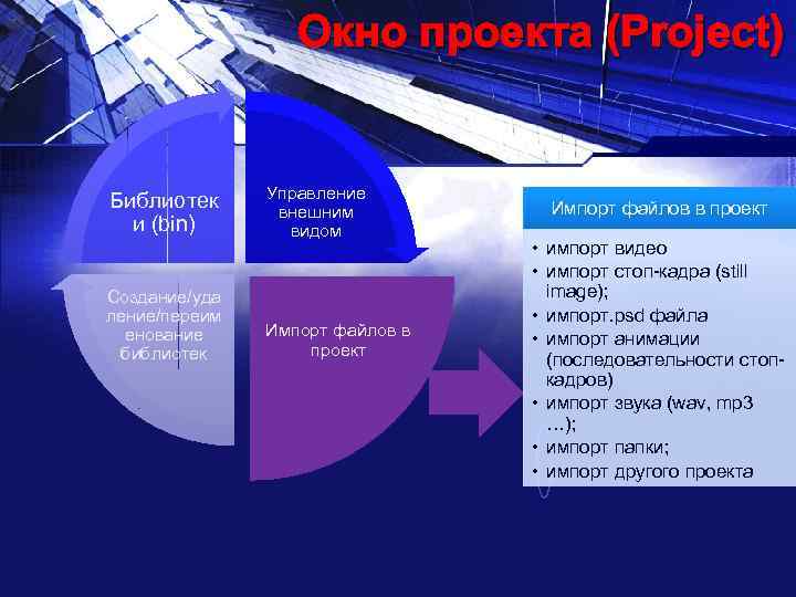 Окно проекта (Project) Библиотек и (bin) Создание/уда ление/переим енование библиотек Управление внешним видом Импорт