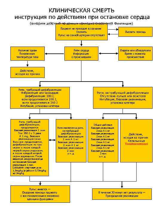 КЛИНИЧЕСКАЯ СМЕРТЬ инструкция по действиям при остановке сердца (алгоритм действий по данным колледжа спасателей