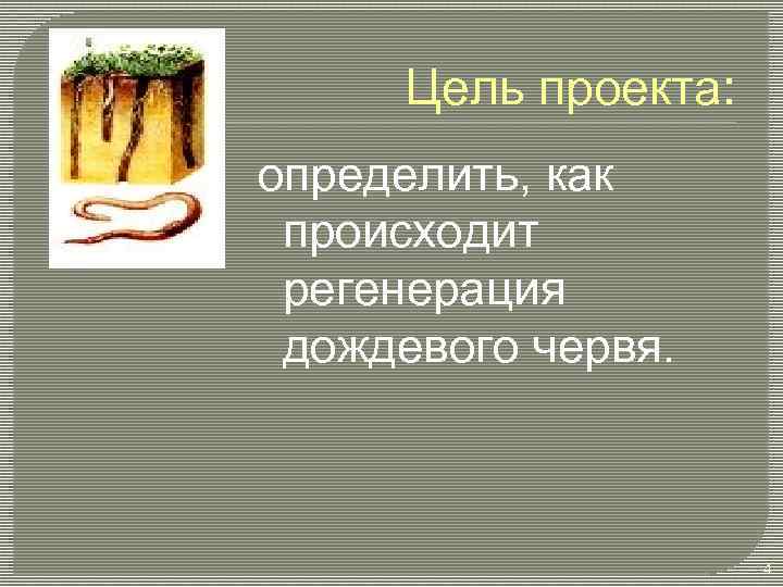 Цель проекта: определить, как происходит регенерация дождевого червя. 4 