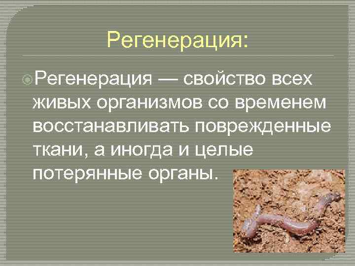 Регенерация: Регенерация — свойство всех живых организмов со временем восстанавливать поврежденные ткани, а иногда
