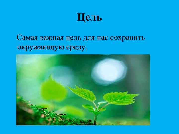 Цель Самая важная цель для нас сохранить окружающую среду. 