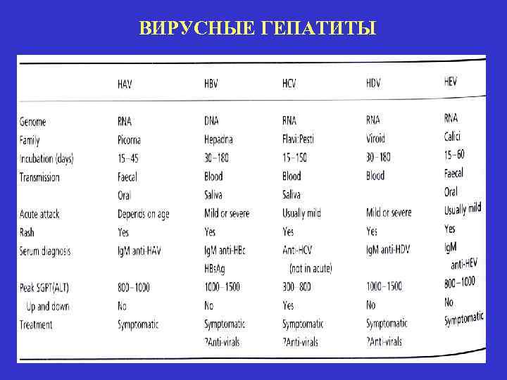 ВИРУСНЫЕ ГЕПАТИТЫ 