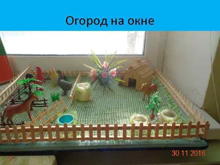 Огород на окне 