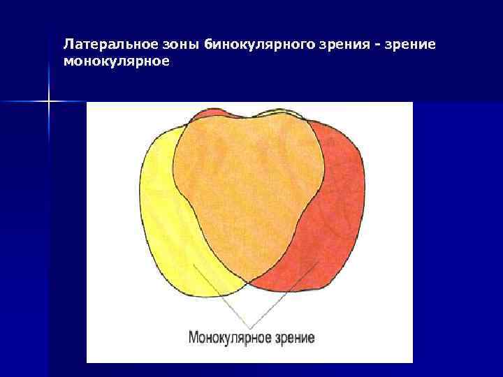 Латеральное зоны бинокулярного зрения - зрение монокулярное 