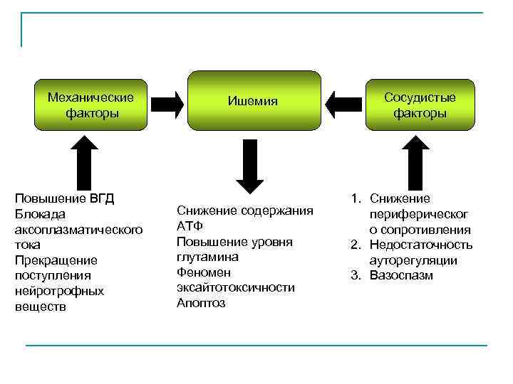 Механические факторы Повышение ВГД Блокада аксоплазматического тока Прекращение поступления нейротрофных веществ Ишемия Снижение содержания