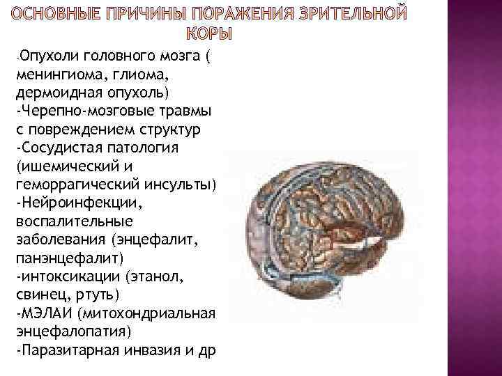 Опухоли головного мозга ( менингиома, глиома, дермоидная опухоль) -Черепно-мозговые травмы с повреждением структур -Сосудистая