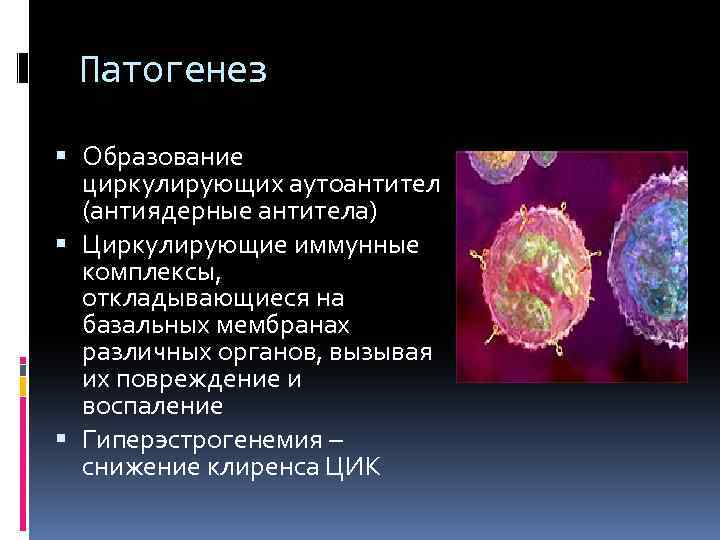 Патогенез Образование циркулирующих аутоантител (антиядерные антитела) Циркулирующие иммунные комплексы, откладывающиеся на базальных мембранах различных