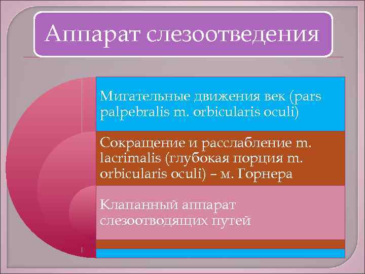 Аппарат слезоотведения Мигательные движения век (pars palpebralis m. orbicularis oculi) Cокращение и расслабление m.