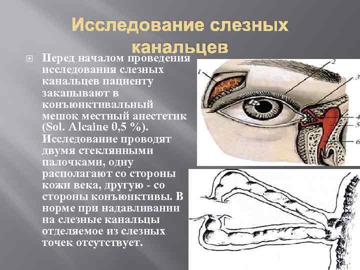  Исследование слезных канальцев Перед началом проведения исследования слезных канальцев пациенту закапывают в конъюнктивальный