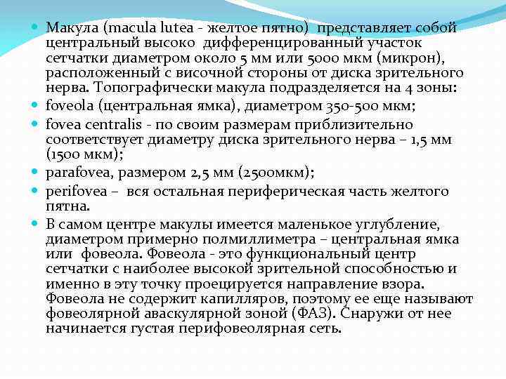  Макула (macula lutea - желтое пятно) представляет собой центральный высоко дифференцированный участок сетчатки