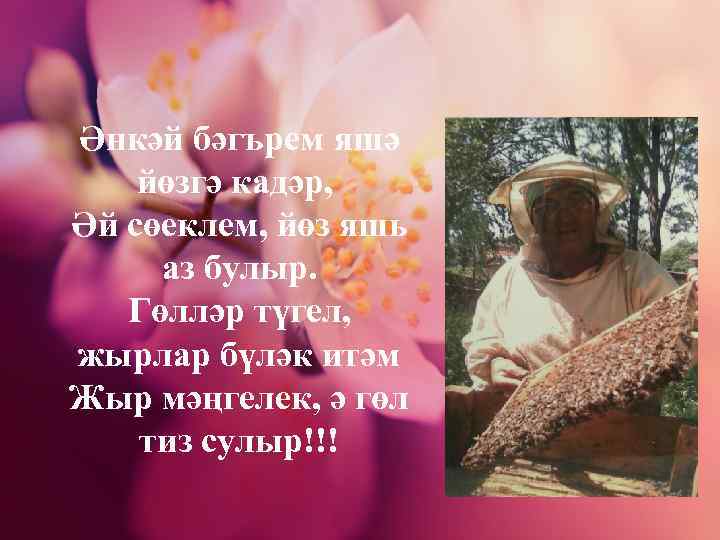 Әнкәй бәгърем яшә йөзгә кадәр, Әй сөеклем, йөз яшь аз булыр. Гөлләр түгел, жырлар
