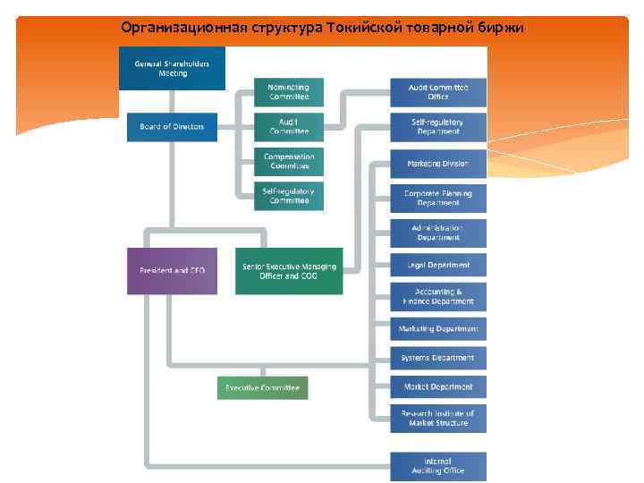 Организационная структура Токийской товарной биржи 