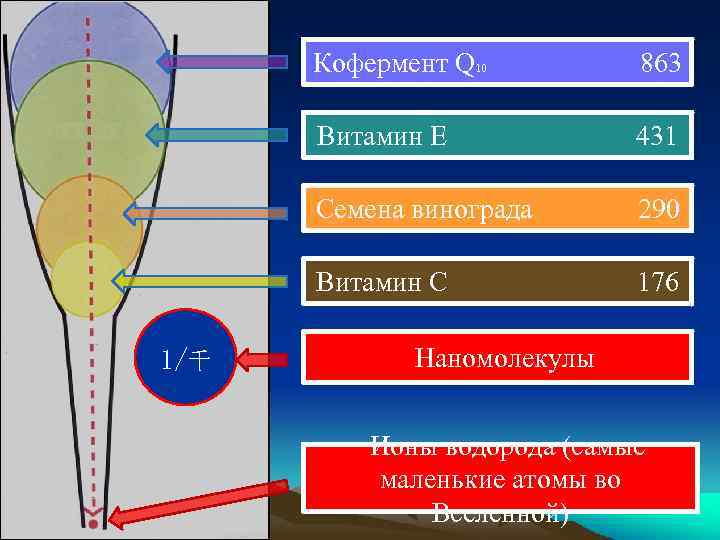 Кофермент Q 10 863 Витамин E 431 Семена винограда 290 Витамин C 176 1/千