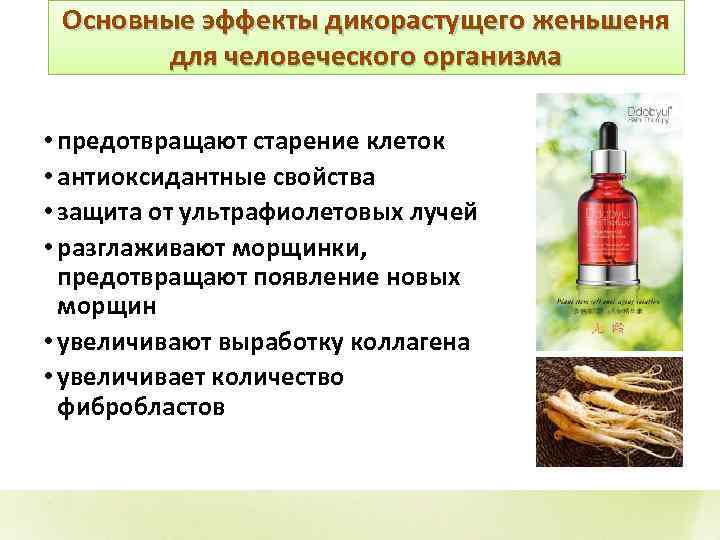 Основные эффекты дикорастущего женьшеня для человеческого организма • предотвращают старение клеток • антиоксидантные свойства