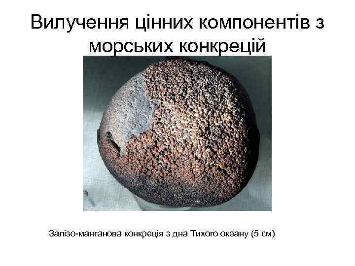 Вилучення цінних компонентів з морських конкрецій Залізо-манганова конкреція з дна Тихого океану (5 см)