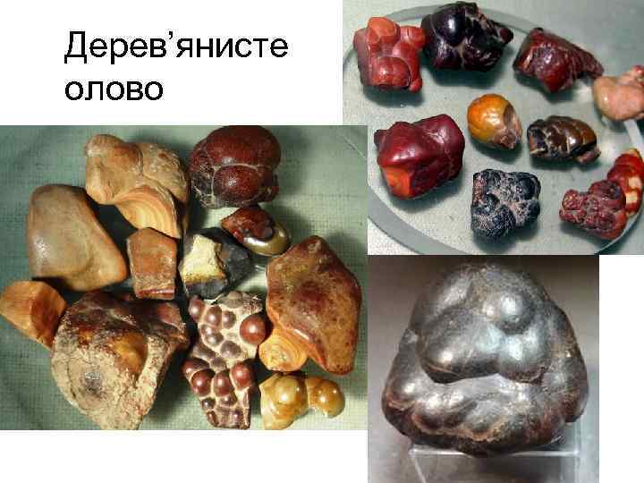 Дерев’янисте олово 