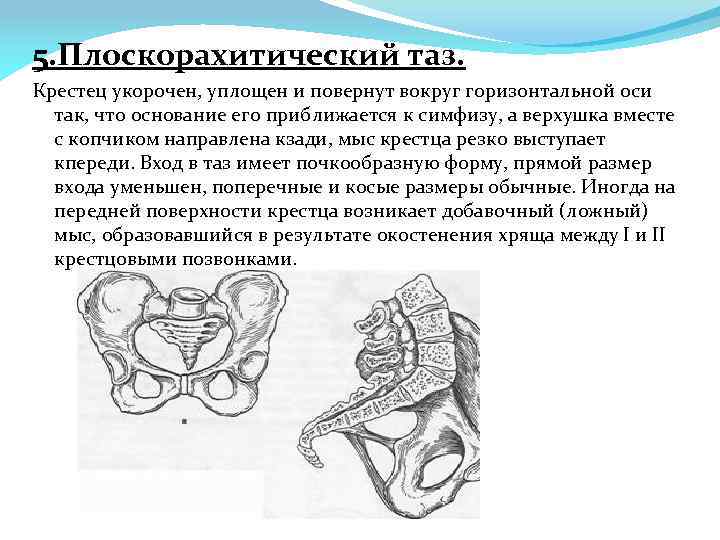 Как рисовать таз