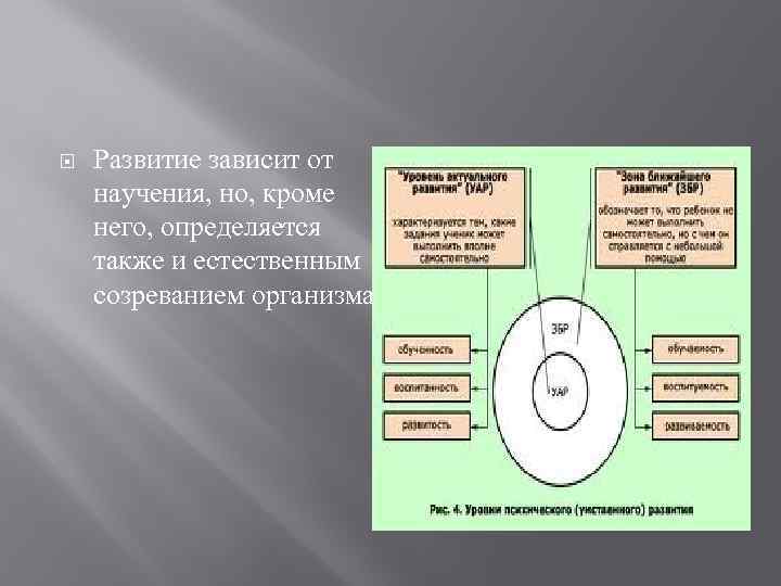 Соотношение понятий рост развитие созревание. Соотношение процессов научения и развития. Развитие формирование созревание в психологии. Соотношение понятий рост формирование развитие.