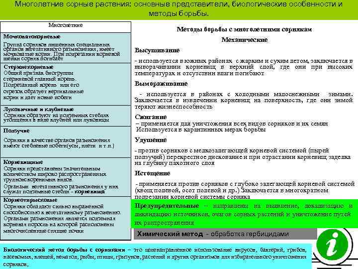 Многолетние сорные растения: основные представители, биологические особенности и методы борьбы. Многолетние Мочковатокорневые Группа сорняков