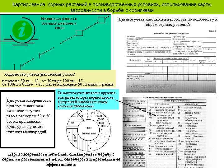 Картирование сорных растений в производственных условиях, использование карты засоренности в борьбе с сорняками Наложение
