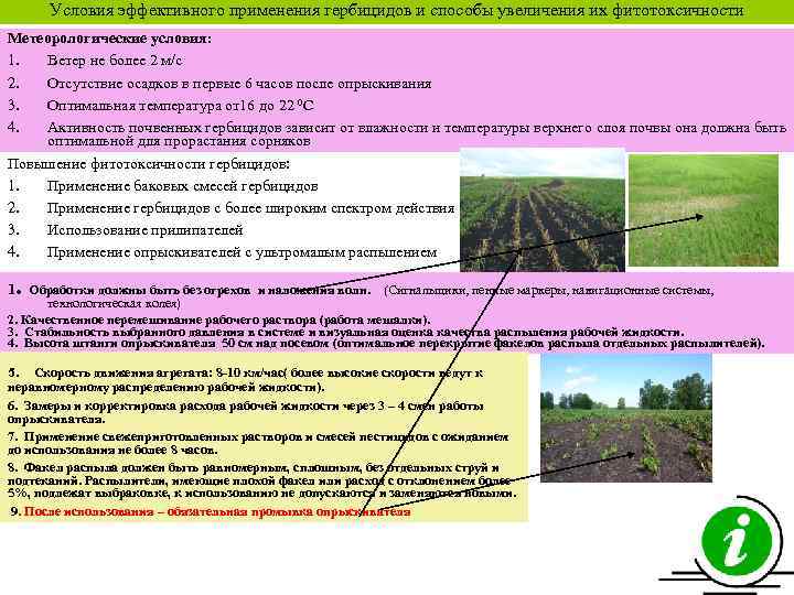 Условия эффективного применения гербицидов и способы увеличения их фитотоксичности Метеорологические условия: 1. Ветер не