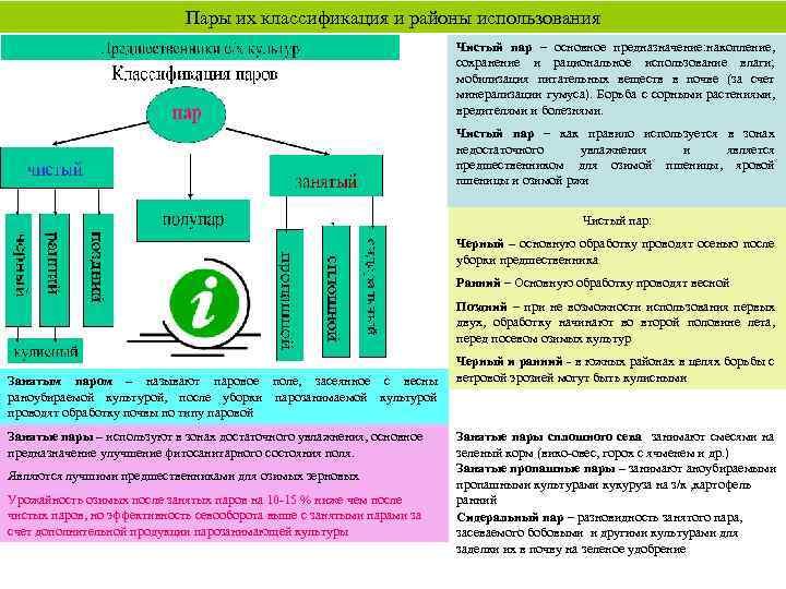 Пары их классификация и районы использования Чистый пар – основное предназначение: накопление, сохранение и