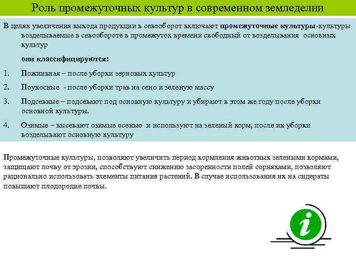 Роль промежуточных культур в современном земледелии В целях увеличения выхода продукции в севооборот включают