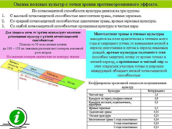 Оценка полевых культур с точки зрения противоэрозионного эффекта. 1. 2. 3. По почвозащитной способности