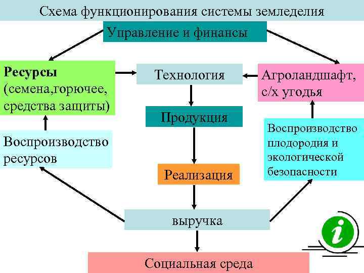 Схема функционирования системы земледелия Управление и финансы Ресурсы (семена, горючее, средства защиты) Технология Продукция