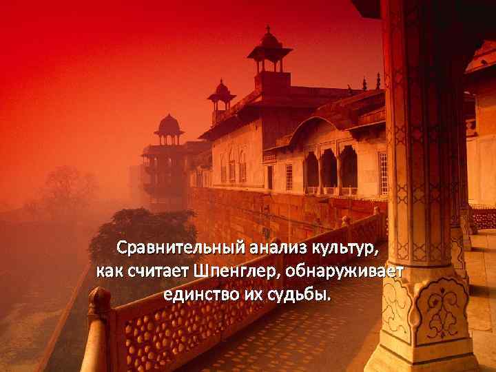 Сравнительный анализ культур, как считает Шпенглер, обнаруживает единство их судьбы. 