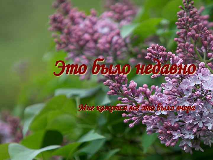 Это было недавно Мне кажется всё это было вчера 