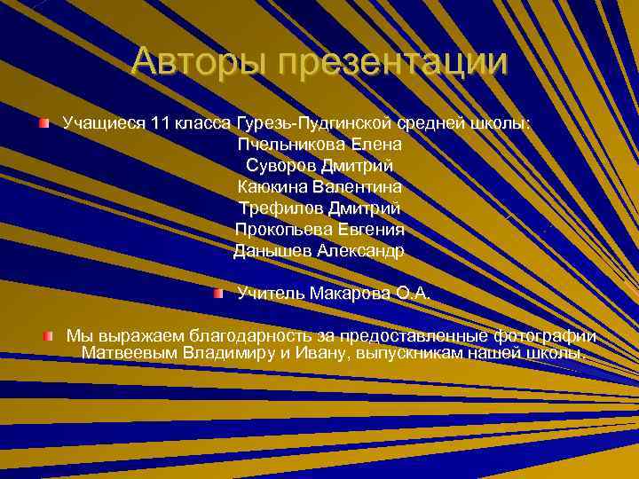 Авторы презентации Учащиеся 11 класса Гурезь-Пудгинской средней школы: Пчельникова Елена Суворов Дмитрий Каюкина Валентина