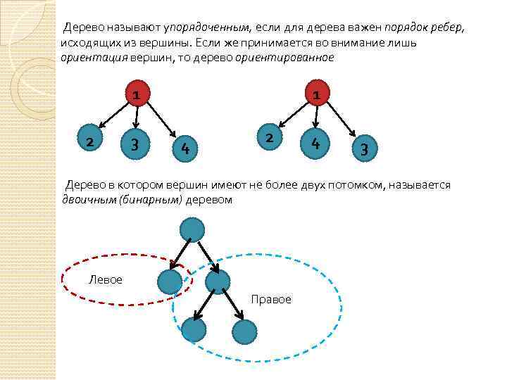 Дерево данных. Ориентированное дерево. Деревья ориентированные упорядоченные и бинарные. Упорядоченное дерево. Сколько листьев у данного дерева.