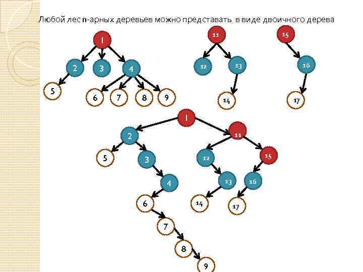  Любой лес n-арных деревьев можно представать в виде двоичного дерева 1 2 5