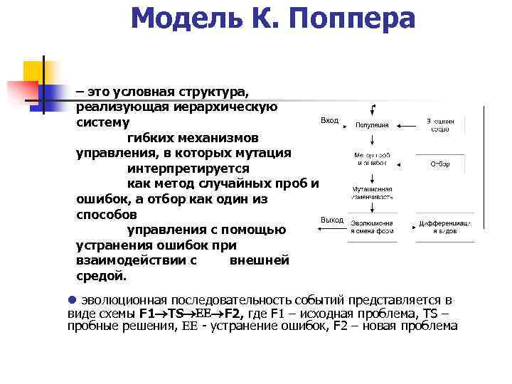 Модель К. Поппера – это условная структура, реализующая иерархическую систему гибких механизмов управления, в