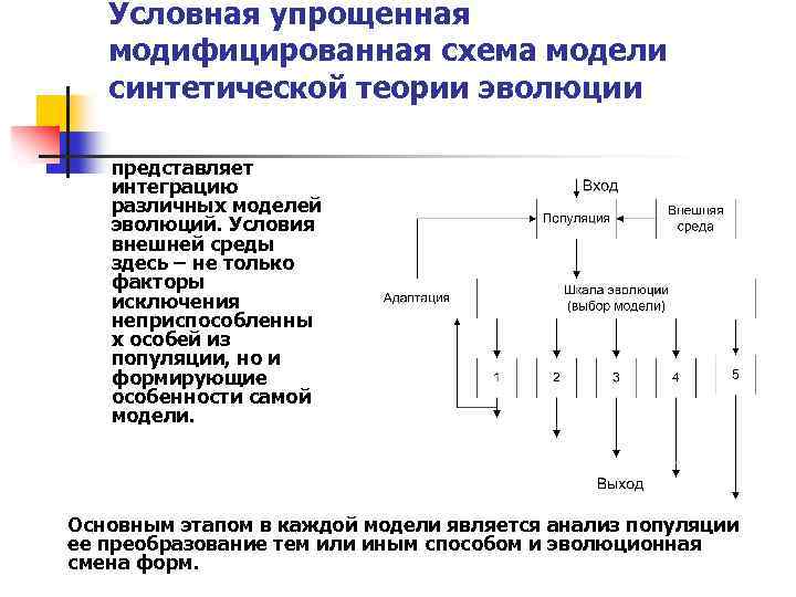 Условная упрощенная модифицированная схема модели синтетической теории эволюции представляет интеграцию различных моделей эволюций. Условия