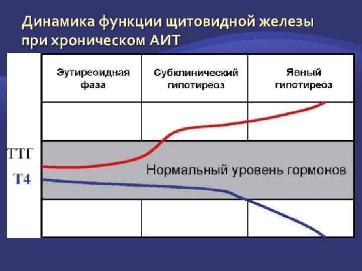 Функция динамика. Динамика функции щитовидной железы при АИТ. Субклинический гипотиреоз ТТГ. Уровень гормонов при гипотиреозе. Показатели гормонов при АИТ.