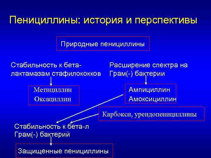 Пенициллины фармакология презентация