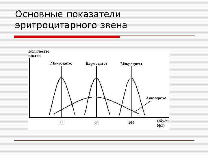 Основные показатели эритроцитарного звена 
