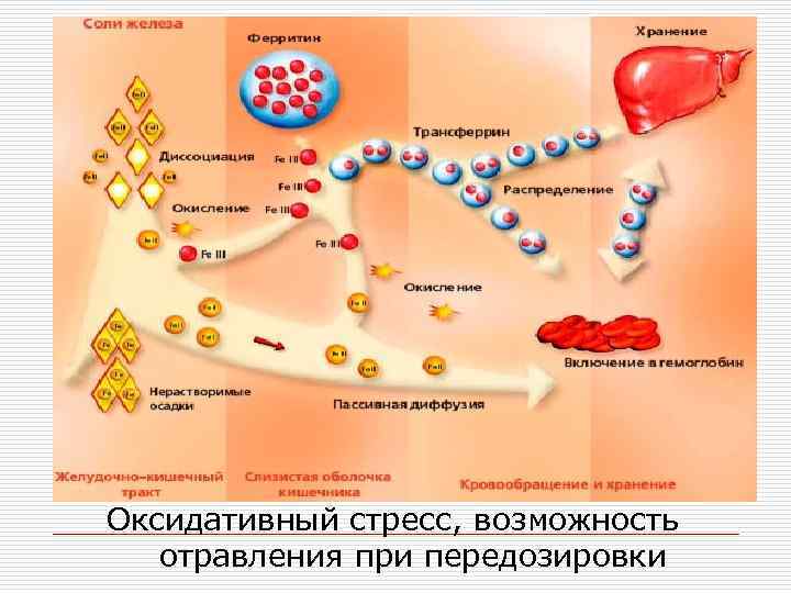 Тромбоцитоз на фоне анемии